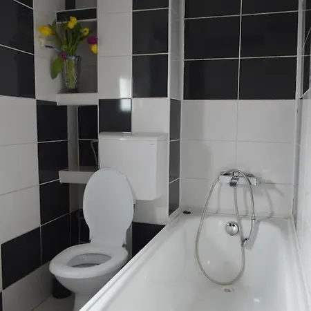 Apartment Csikos